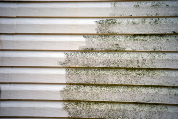 Professional Siding Services in West Crossett, AR